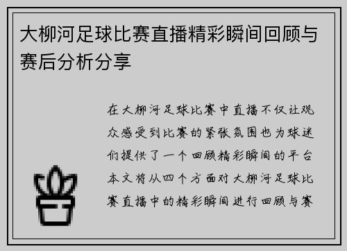大柳河足球比赛直播精彩瞬间回顾与赛后分析分享